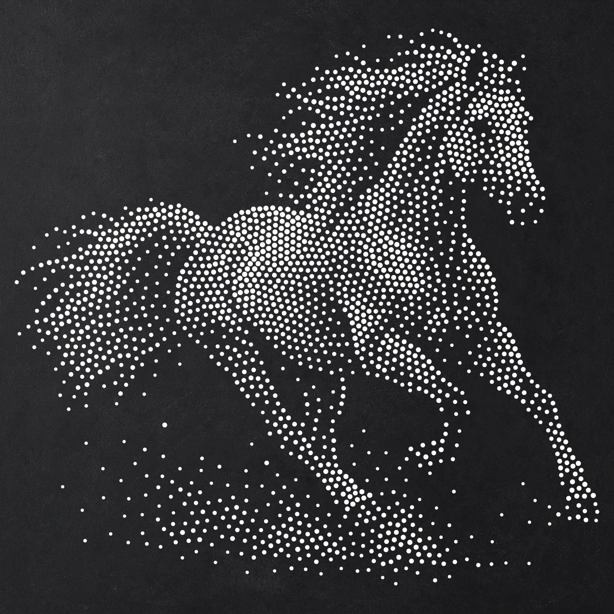 Horse Galloping reusable Mylar stencil