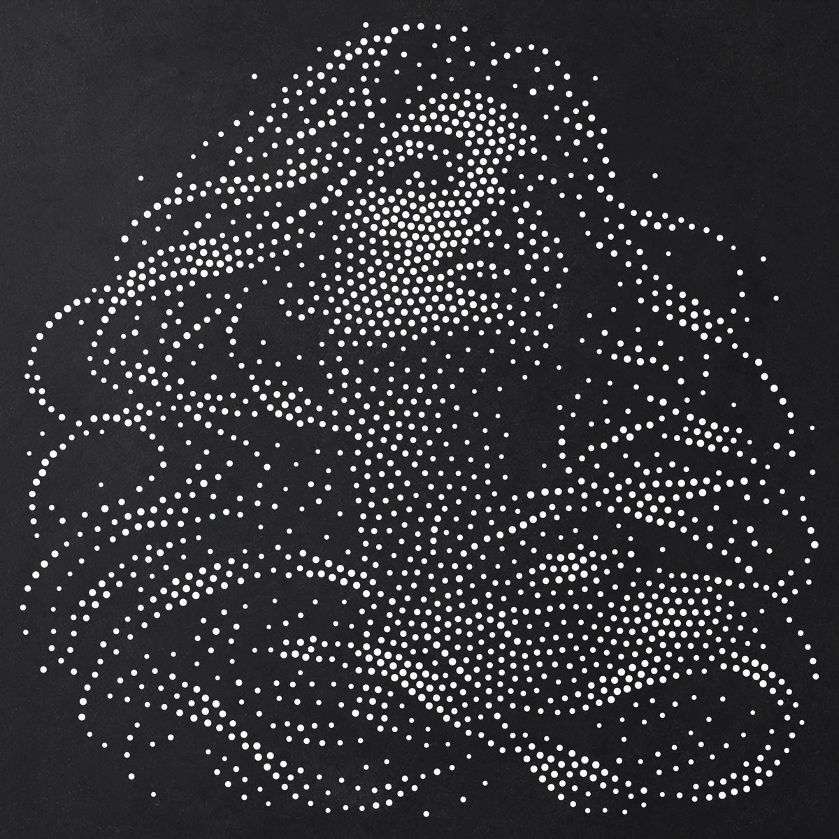 Women’s Portrait Collection reusable Mylar stencil