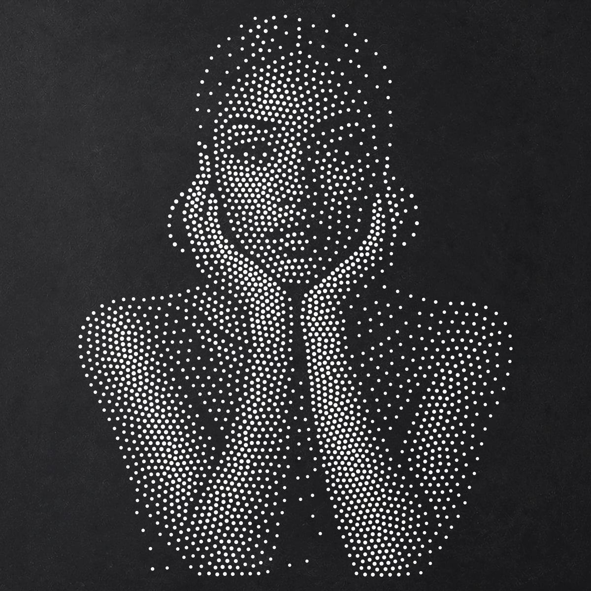 Women’s Portrait Collection reusable Mylar stencil