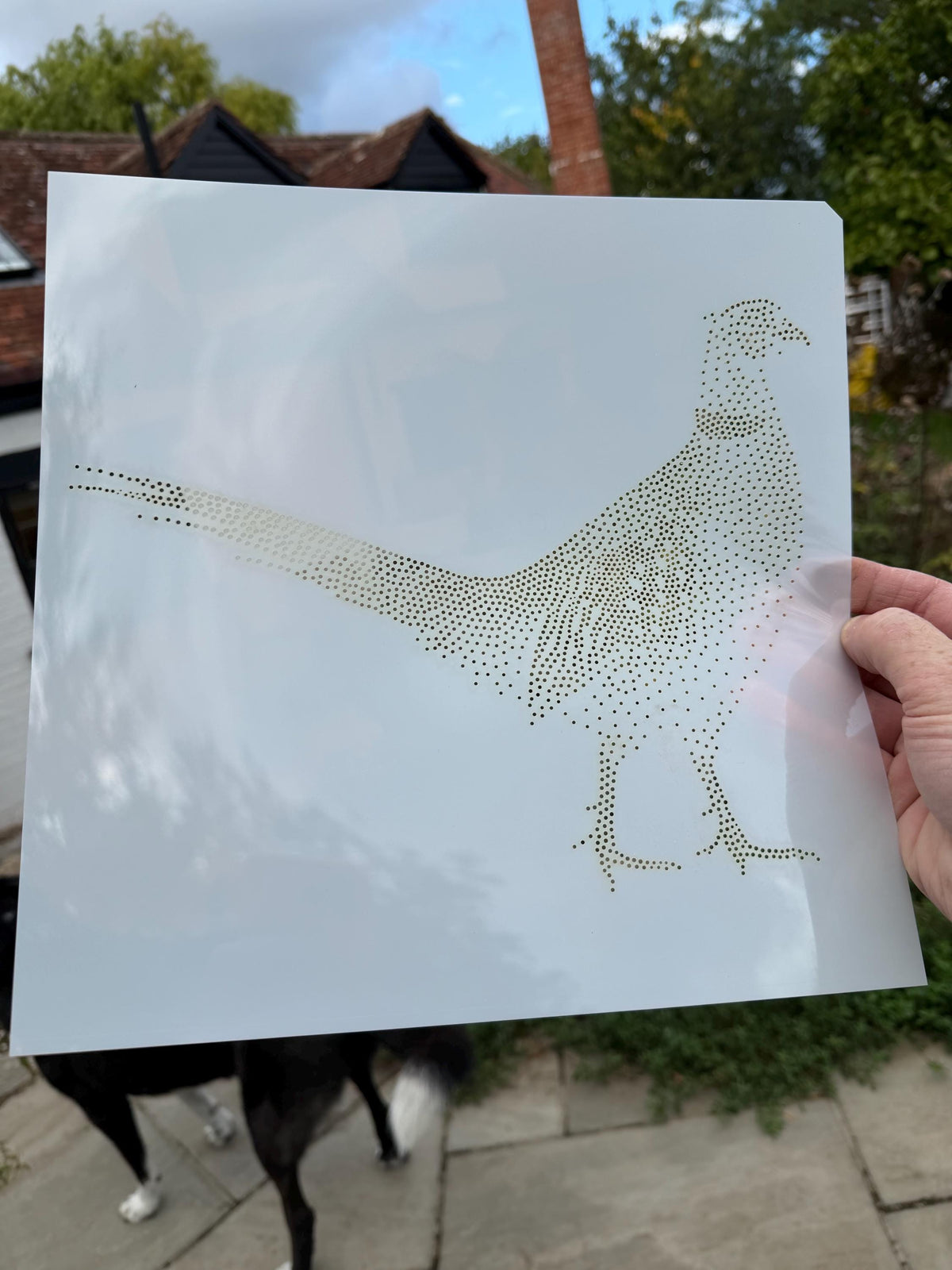 Pheasant reusable Mylar stencil